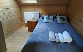Apartament Pod kogutkiem